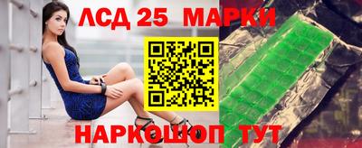 мдпв Камышлов