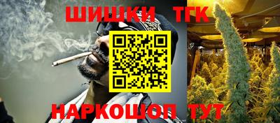 мдпв Камышлов