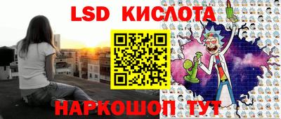мдпв Камышлов