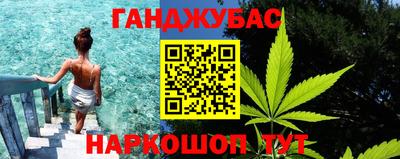 мдпв Камышлов