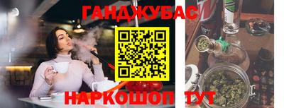 мдпв Камышлов